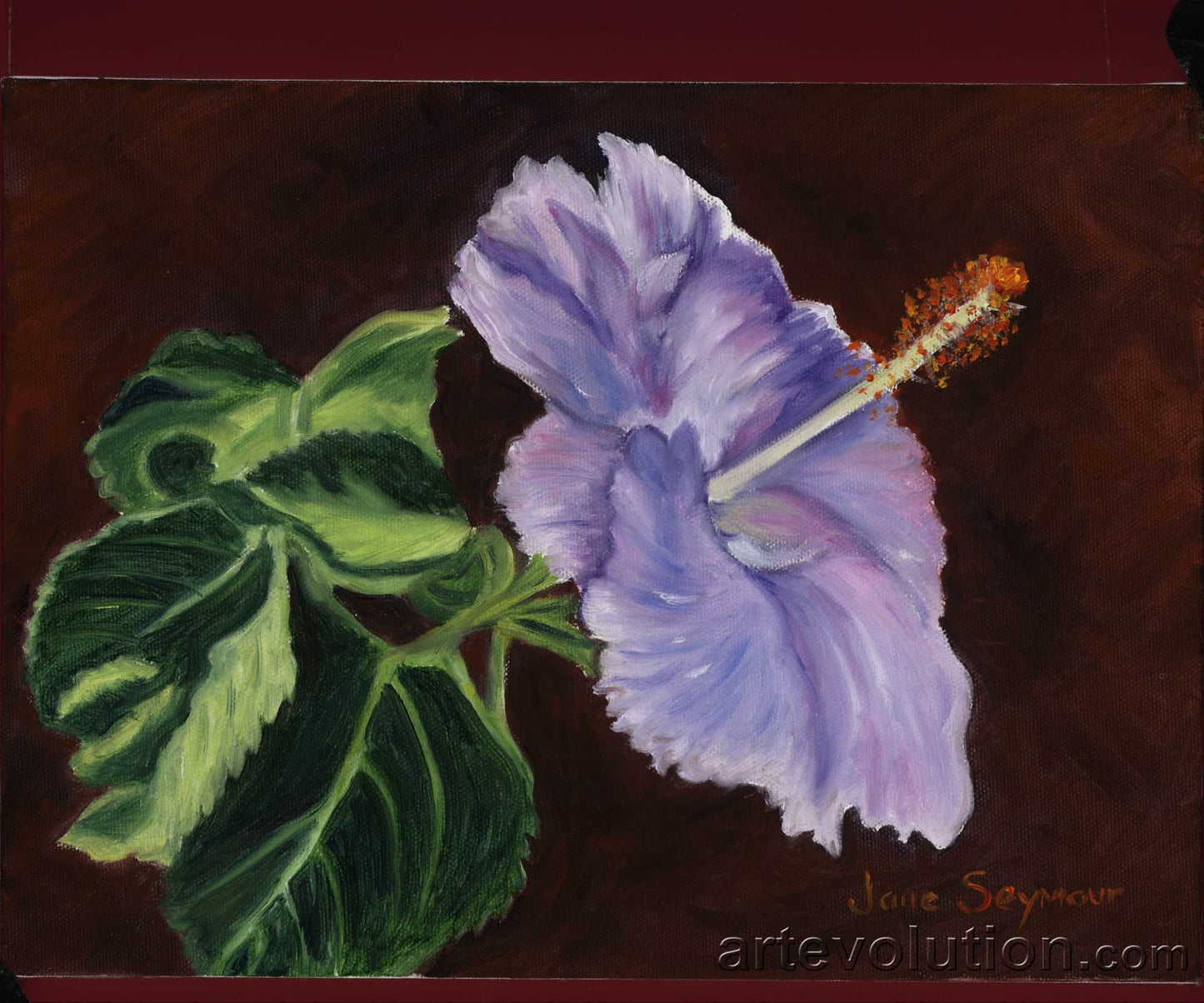 Lavender Hibiscus II