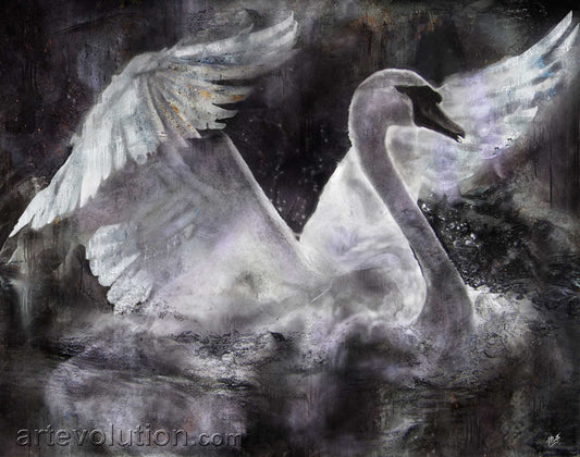 Swan Dreams I