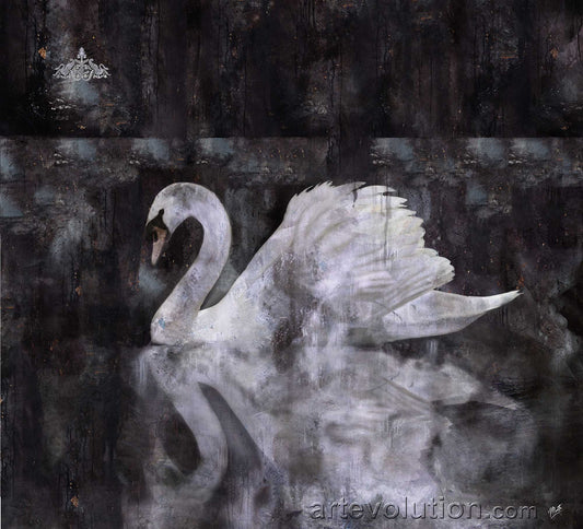 Swan Dreams II