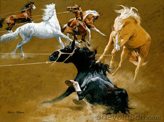 Wild Horse Race
