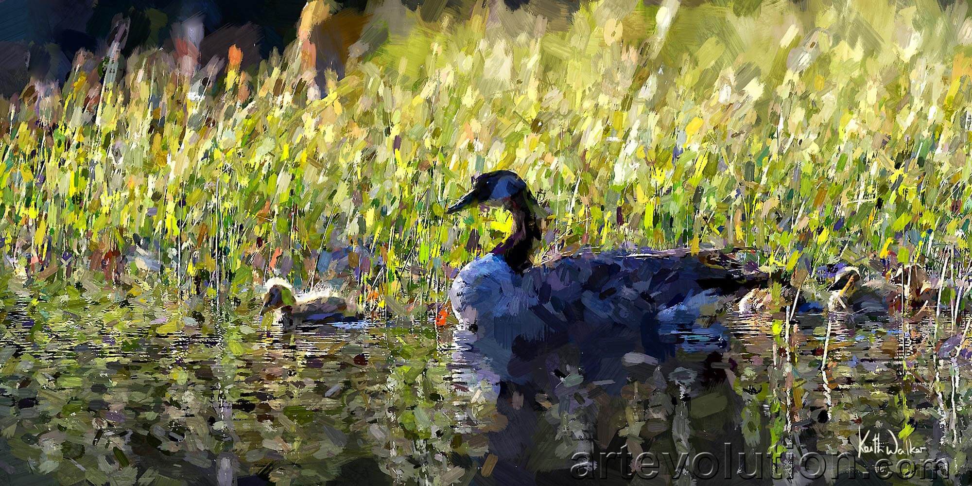 Canada Goose Family by Keith Walker