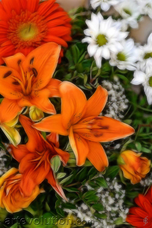 Floral V