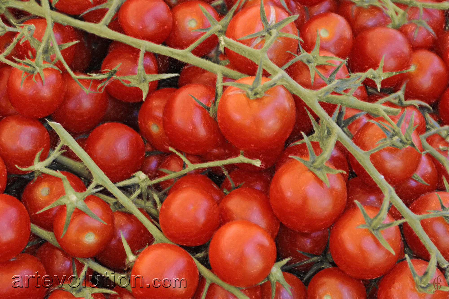 French Market Tomatoes II