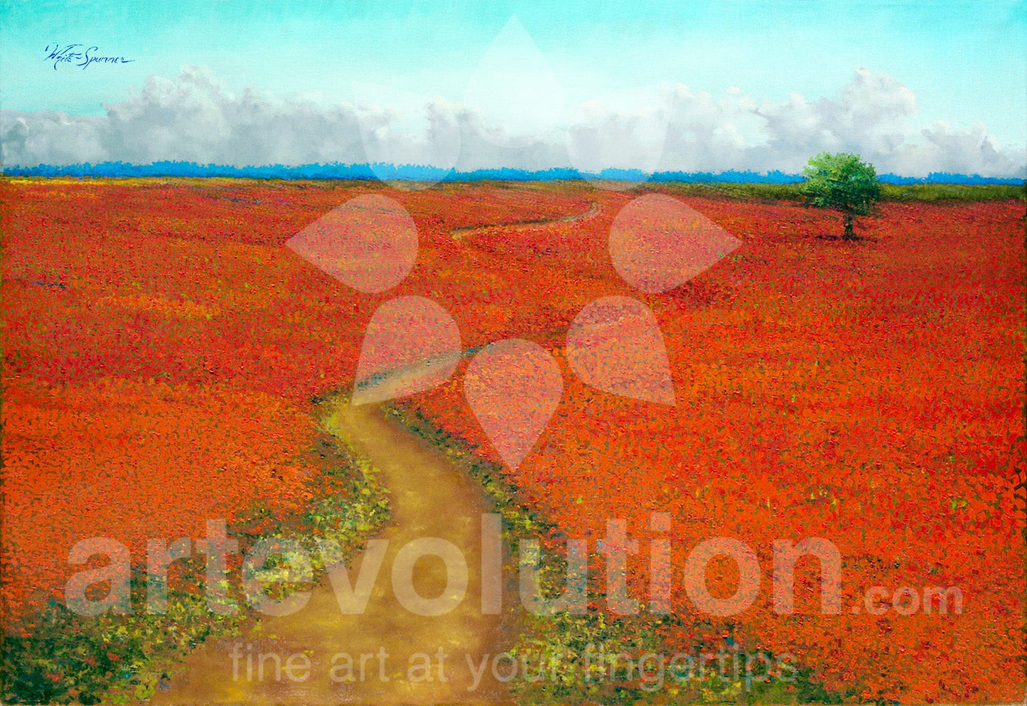 Red Field