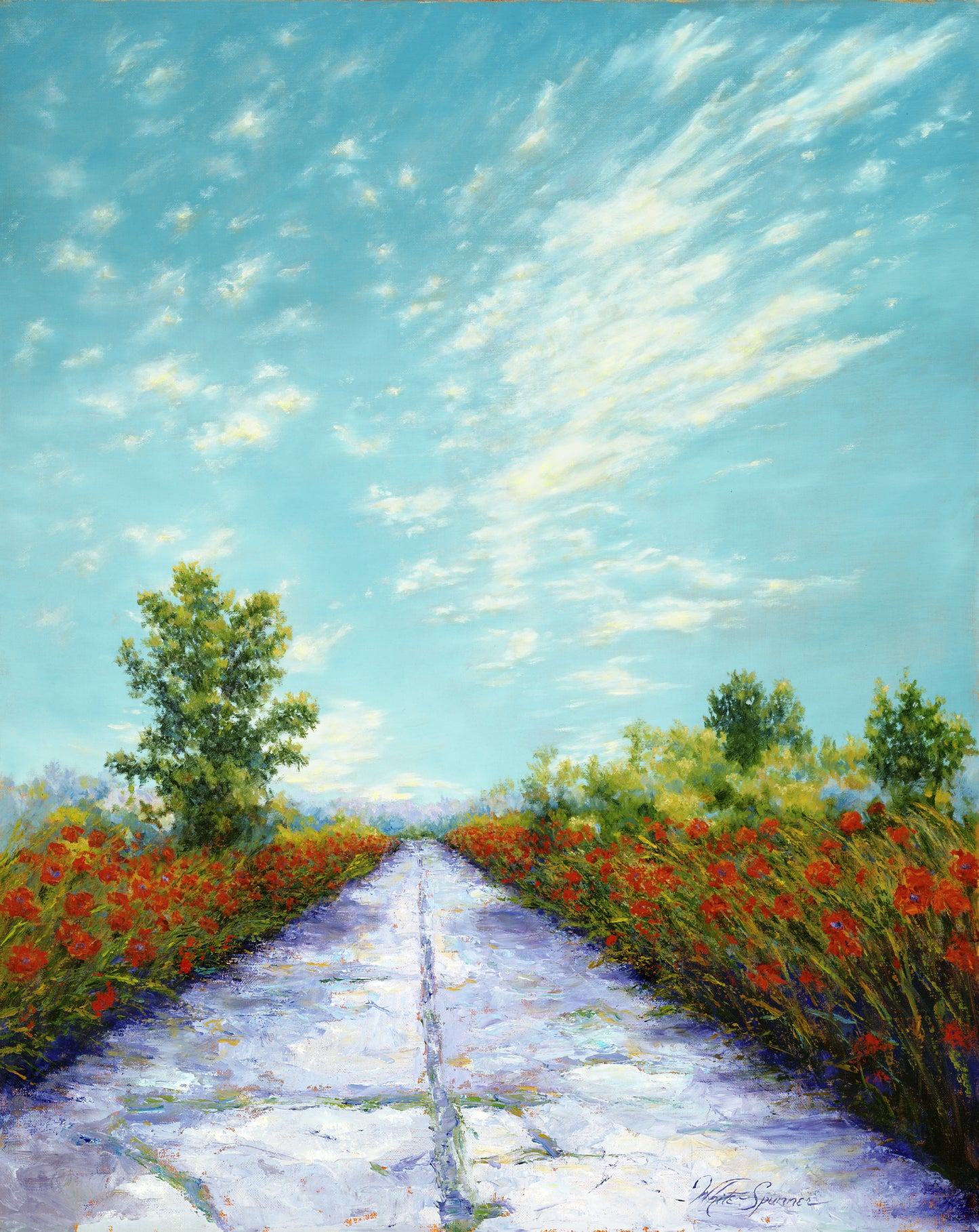 Path of Poppies