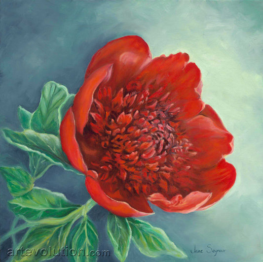 Portrait of a Chinese Peony